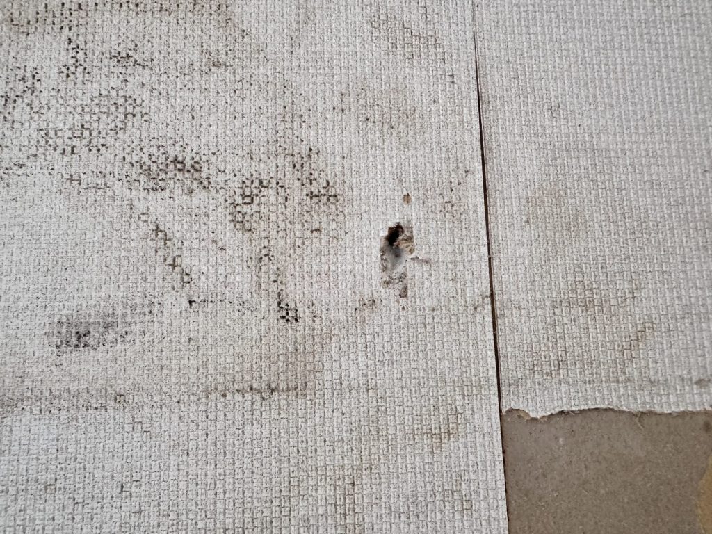 クロスにカビ発見